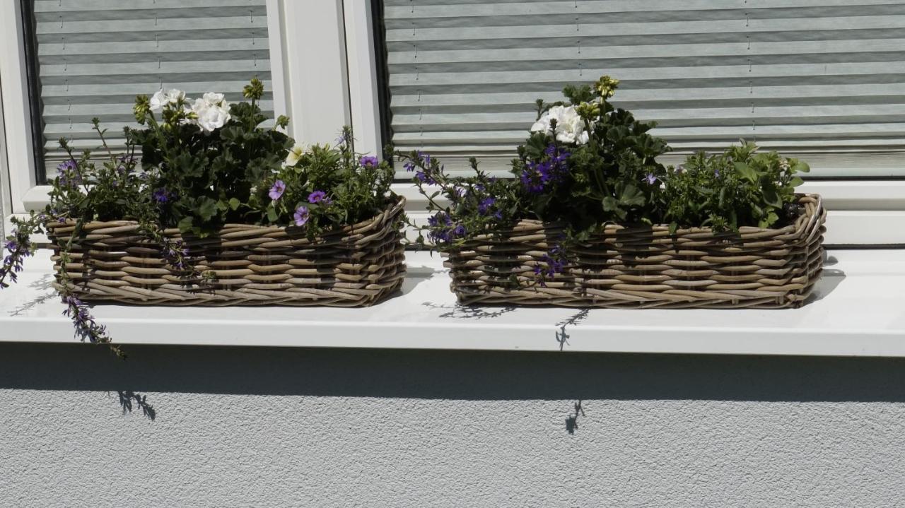 Wiesenblick Nahe Region Celle Und Hannover Apartment
