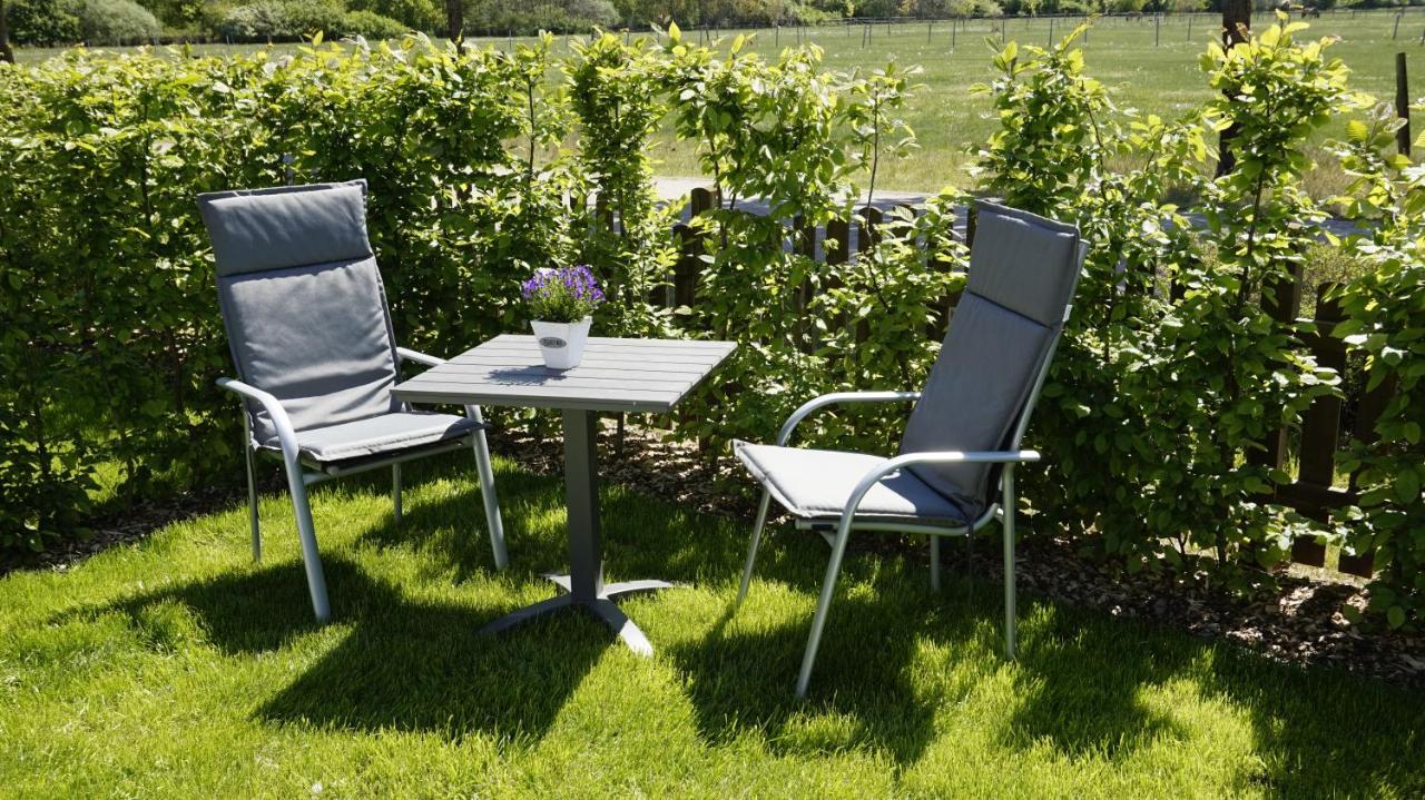 Wiesenblick Nahe Region Celle Und Hannover Appartement *