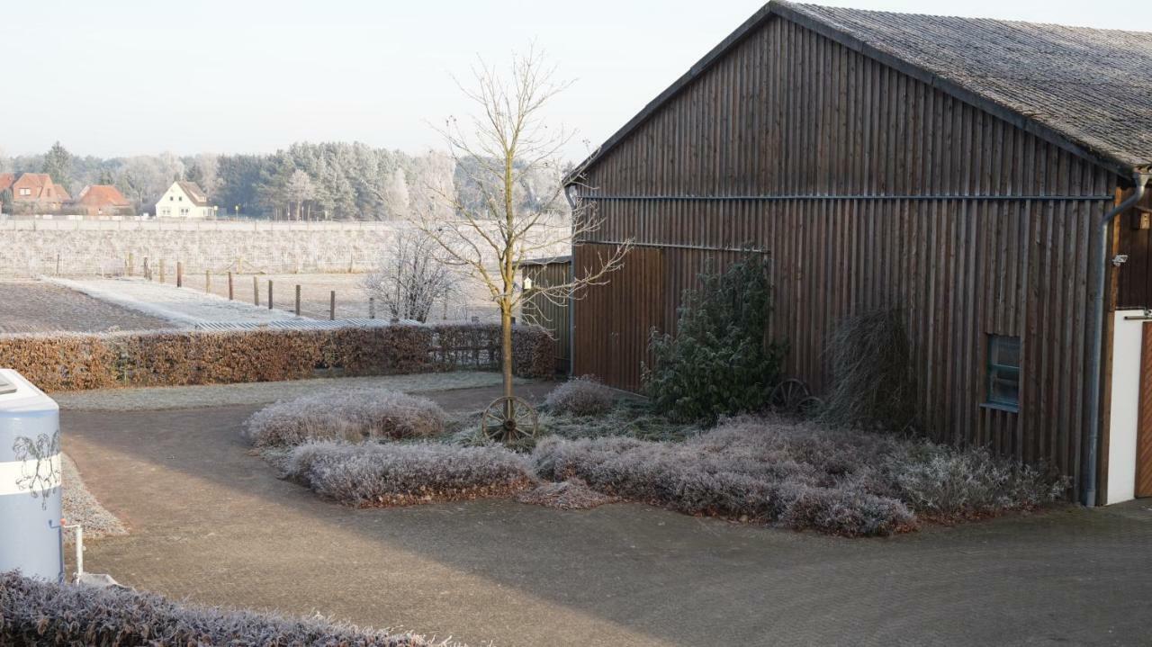 Wiesenblick Nahe Region Celle Und Hannover Apartment